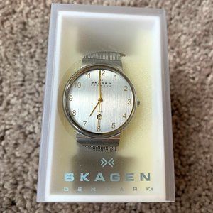 Skagen Men's Stainless Steel Wristwatch